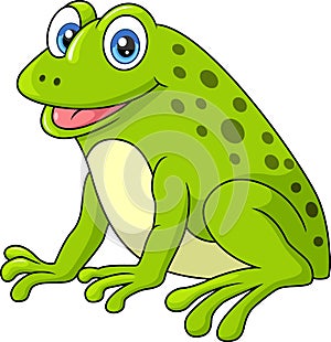 Cute happy green frog cartoon on white background