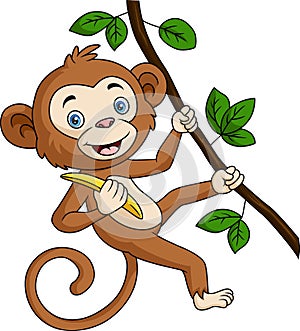 Cute monkey cartoon hanging and holds banana in tree branch