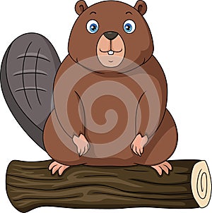 Cute chipmunk cartoon on wooden