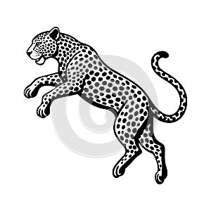 a jumping leopard on a white background illustration Black