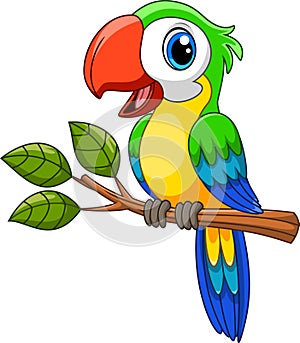 Cartoon happy little macaw bird