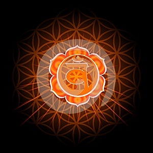 Circle mandala pattern. Swadhisthana chakra