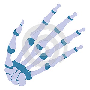 Basic RGB  Hand skeleton, Anatomy Vector Illustration icon which can easily modify