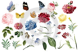 Various romantic flower and leaf illustrations photo