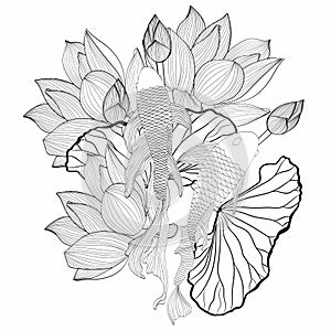 Basic RGBHand drawn Asian symbols - line art koi carp with lotus flowers and leaves on a white background.