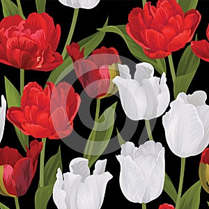 Basic RGBSeamless pattern of red and white tulip flowers background.