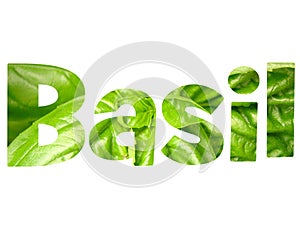 Basil