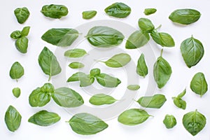 Basil background