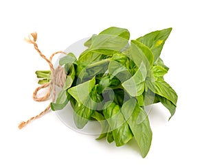 The basil bunch with a jute rope