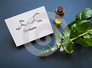 Basil essential oil with chemical formula of ocimene (a component of essential oil). Healthy lifestyle, spa concept.