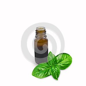 Basil essential oils in bottle isolated on a white background