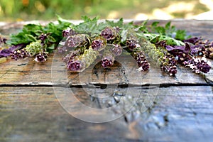 Basil flowers with parsley on a wooden countertop. With a side of sunlight in the background.