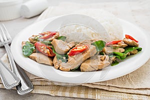 Basil fried rice with chicken (Pad kra prao kai), Thai food