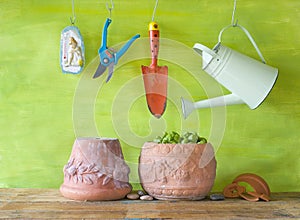 Basil, gardening tools,