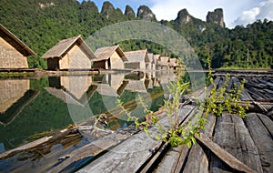 The basil grew up on a raft.