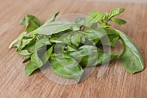 Basil Leaves