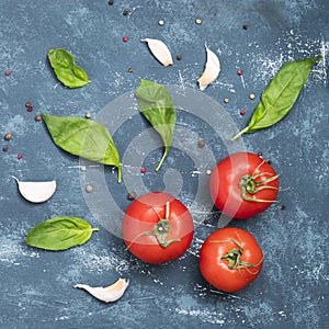 Basil Leaves, pepper and tomatoes on concrete background.