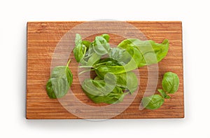 Basil leaves on the wooden board