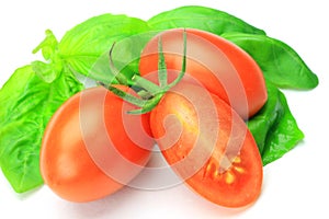 Basil and mini-tomato