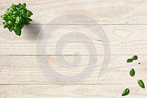 Basil, mint, Kitchen leaves on green and wooden background