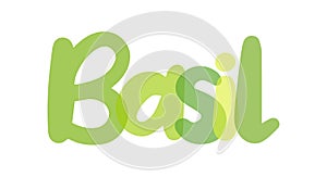 Basil, Ocimum basilicum, king of herbs, great basil