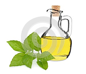 basil oil