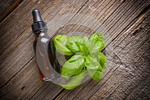 Basil oil