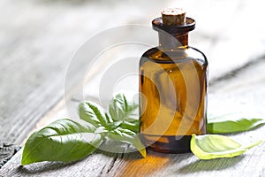 Basil oil and fresh herbs photo
