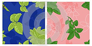 Basil and oregano seamless herbs modern pattern