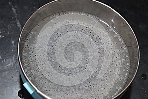 Basil seeds and chia seeds jelly in water in glass bowls on white background