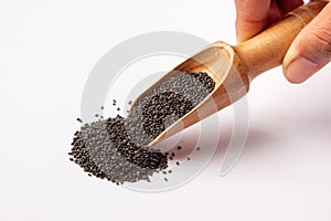 Basil seeds with wooden spoon in hand  on white background