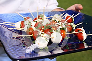 Basil and Tomato canapes