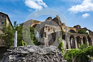 The Basilica of Constantine and Maxentius in the Roman Forum