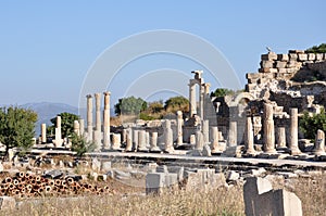 The Basilica, Ephesus, Selcuk, Izmir, Turkey
