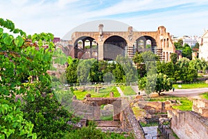 Basilica of Maxentius and Constantine in Roman Forum, Rome photo