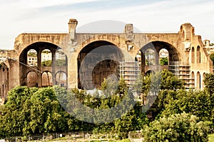 The Basilica of Maxentius and Constantine in Rome
