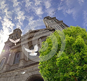 Basilica Notre Dam de Saguenay