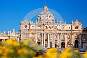 Basilica of Saint Peter in the Vatican with spring flowers, Rome, Italy