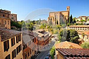 Basilica san domenico (siena)