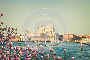 Basilica Santa Maria della Salute, Venice, Italy photo