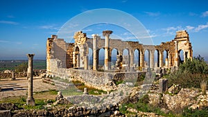 The Basilica of Volubilis