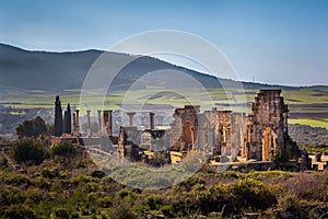 The Basilica of Volubilis