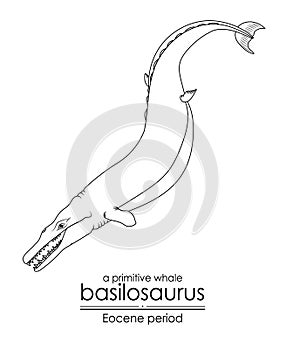 Basilosaurus