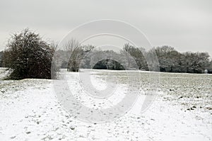 Basingstoke Common with Snow