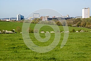 Basingstoke skyline, springtime