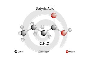 Molecular formula of butyric acid. Chemical structure of butyric acid. photo