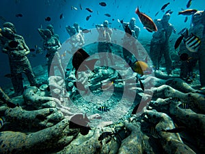 Bask Nest Underwater Statues at the bottom of the sea in Gili Meno Indonesia photo