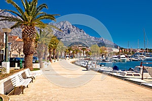 Baska Voda palm waterfront view