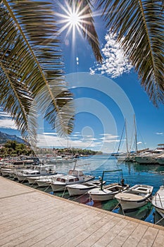 Baska Voda town with harbor against palm tree in Makarska riviera, Dalmatia, Croatia