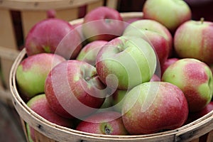Basket of apples photo